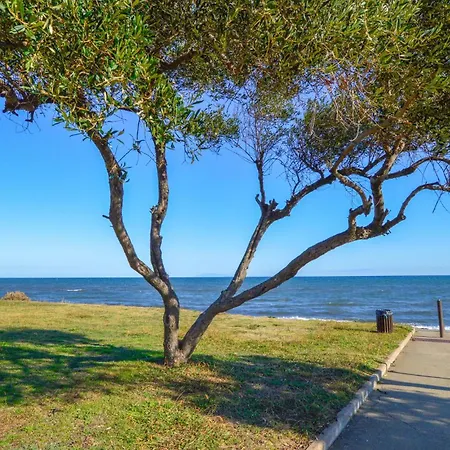 2 Bedroom Cozy In Apartment