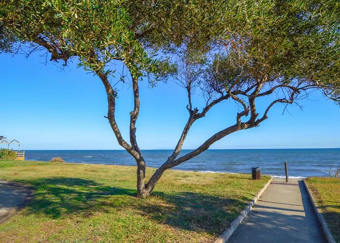 2 Bedroom Cozy In Appartement